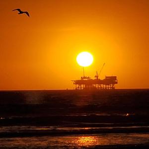 久久久久青草线焦综合
