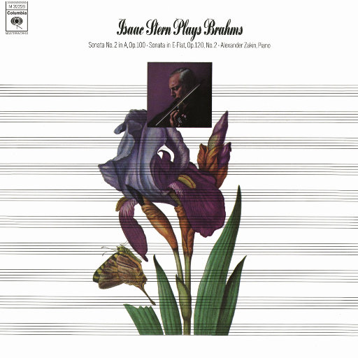 久久久久青草线焦综合
