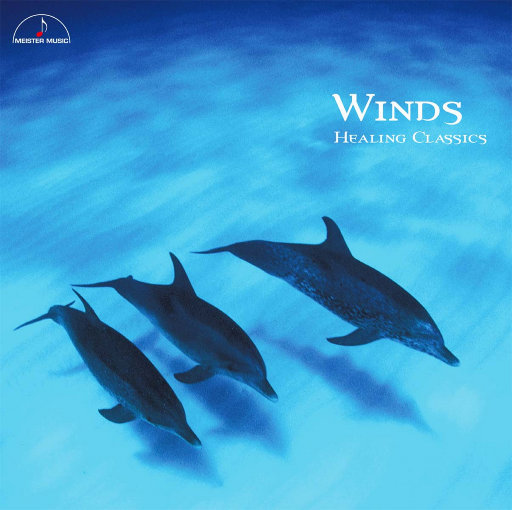 久久久久青草线焦综合
